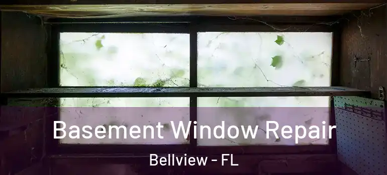 Basement Window Repair Bellview - FL