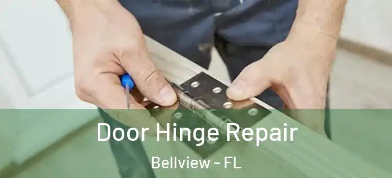 Door Hinge Repair Bellview - FL