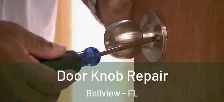Door Knob Repair Bellview - FL