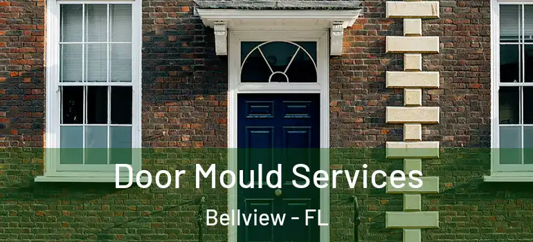 Door Mould Services Bellview - FL