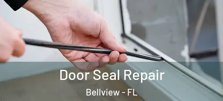 Door Seal Repair Bellview - FL