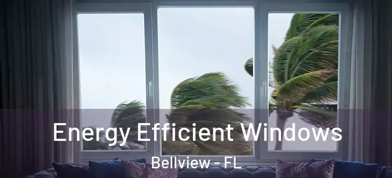 Energy Efficient Windows Bellview - FL