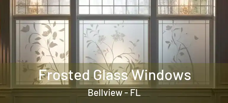 Frosted Glass Windows Bellview - FL