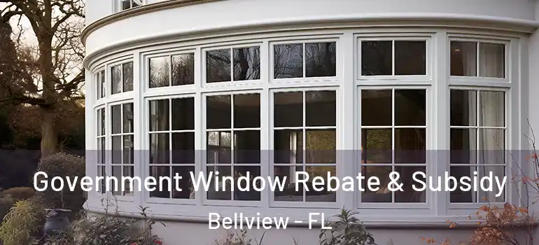 Government Window Rebate & Subsidy Bellview - FL