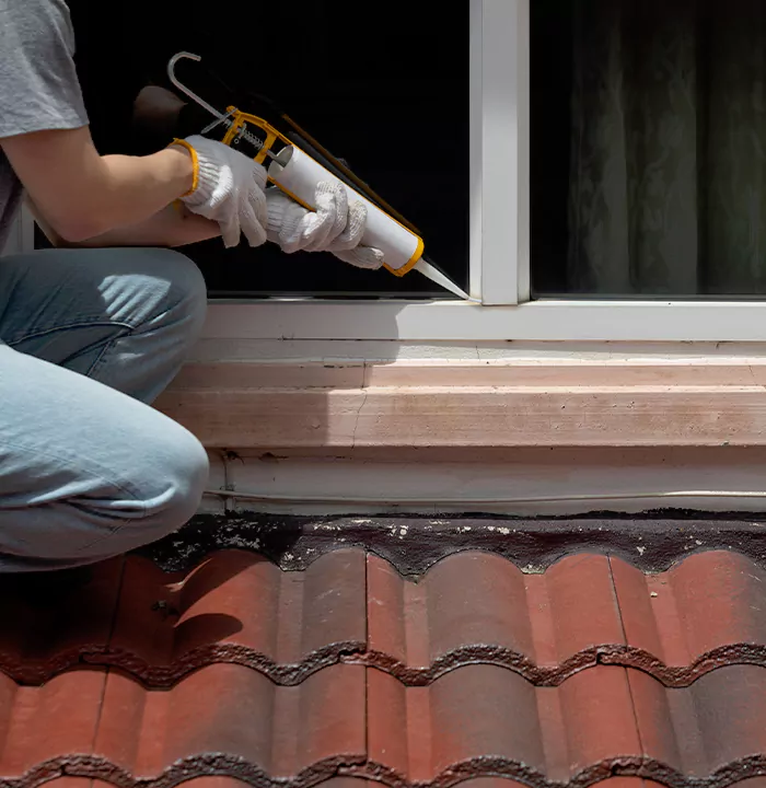 Roof Window Services in Bellview, Florida