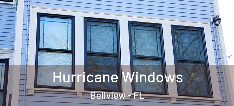 Hurricane Windows Bellview - FL