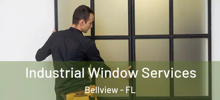 Industrial Window Services Bellview - FL