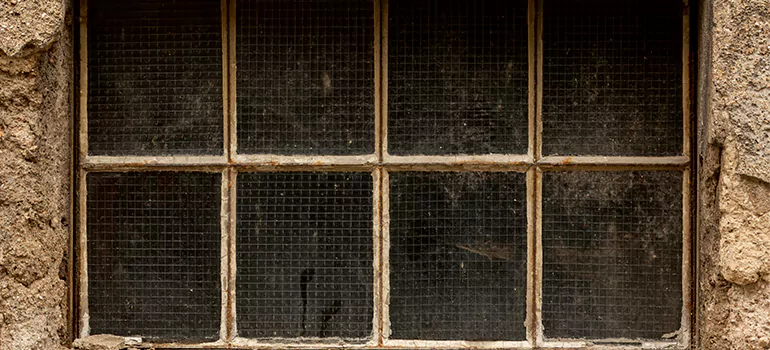 Traditional Double Front Doors in Bellview, FL