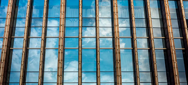 Professional Window Tinting Services in Bellview, FL