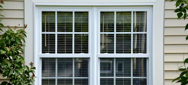 Custom Double Hung Windows in Bellview, FL