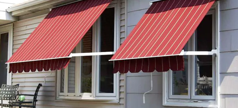 Government Rebate Window Replacement in Bellview, FL