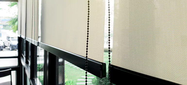 Blackout Window Shades in Bellview, FL