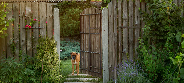 Winter Garden Garage Door Repair in Bellview,[location field=state]