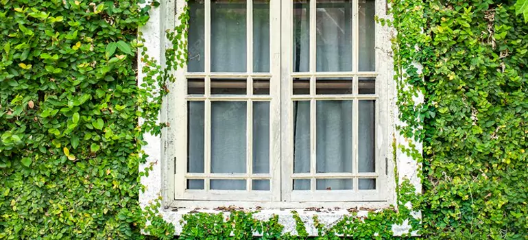 Garden Window Repair Near Me in Bellview, FL