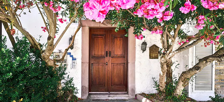 Traditional 4 Panel Internal Doors in Bellview, FL