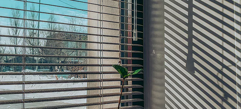 Commercial Window Blinds in Bellview, FL