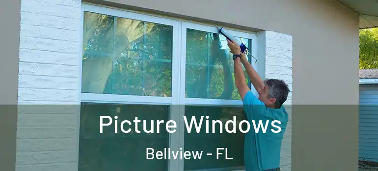 Picture Windows Bellview - FL