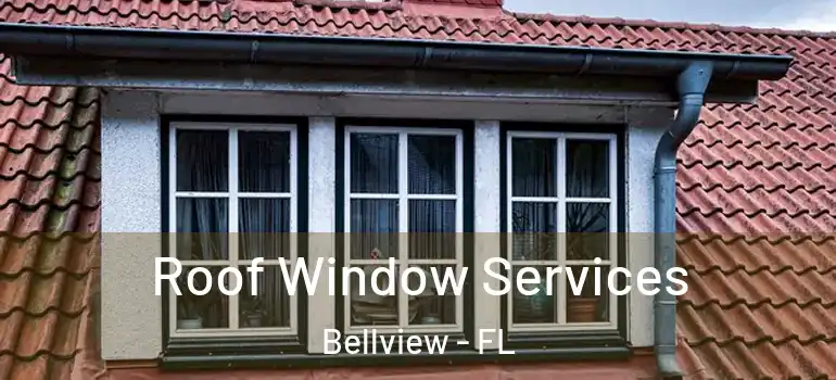 Roof Window Services Bellview - FL