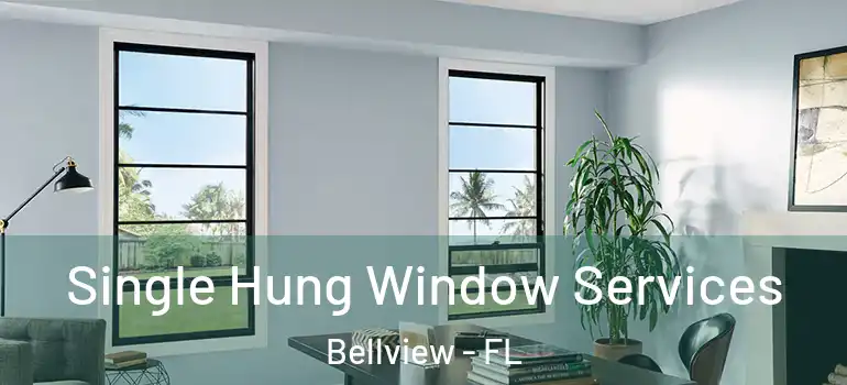 Single Hung Window Services Bellview - FL
