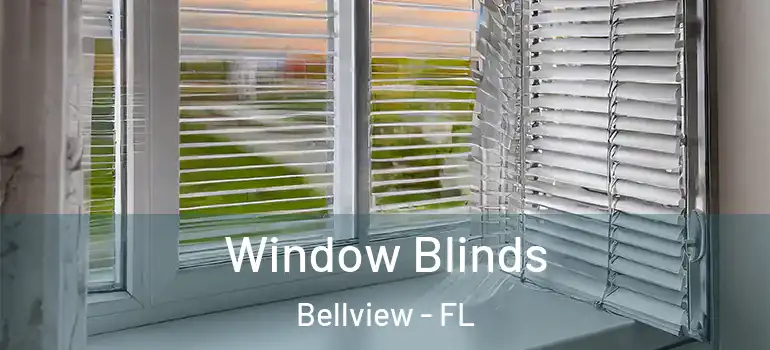 Window Blinds Bellview - FL