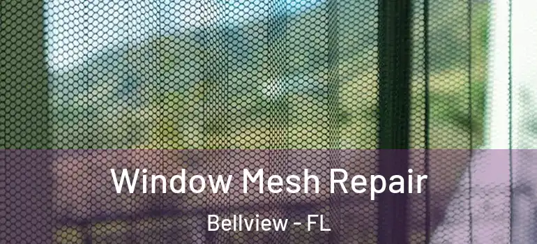 Window Mesh Repair Bellview - FL