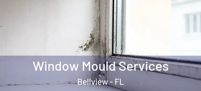 Window Mould Services Bellview - FL