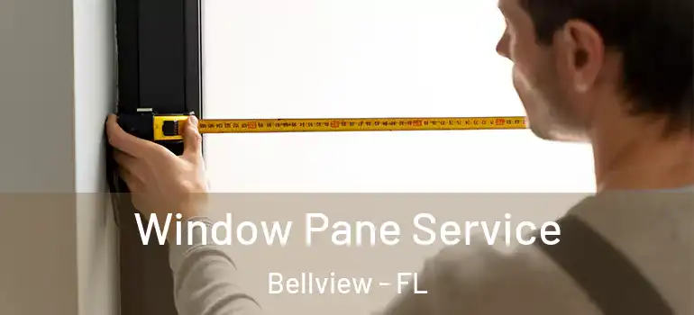 Window Pane Service Bellview - FL