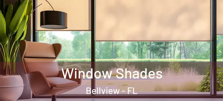 Window Shades Bellview - FL